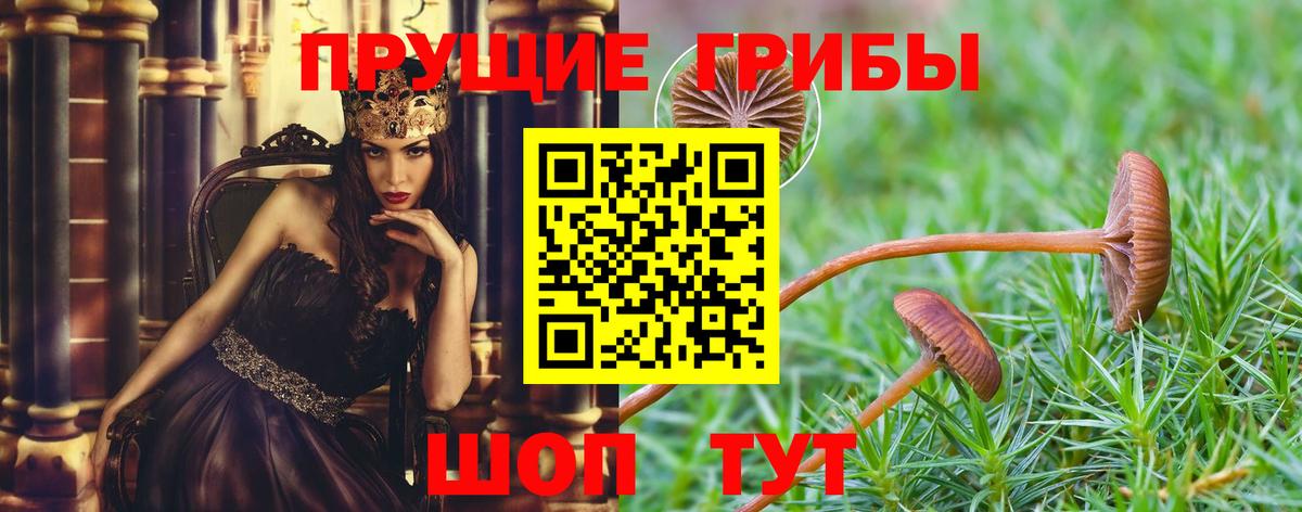 Псилоцибиновые грибы мицелий  Вход с VPN  Галлюциногенные грибы Psilocybine cubensis  где найти наркотики  Железноводск 